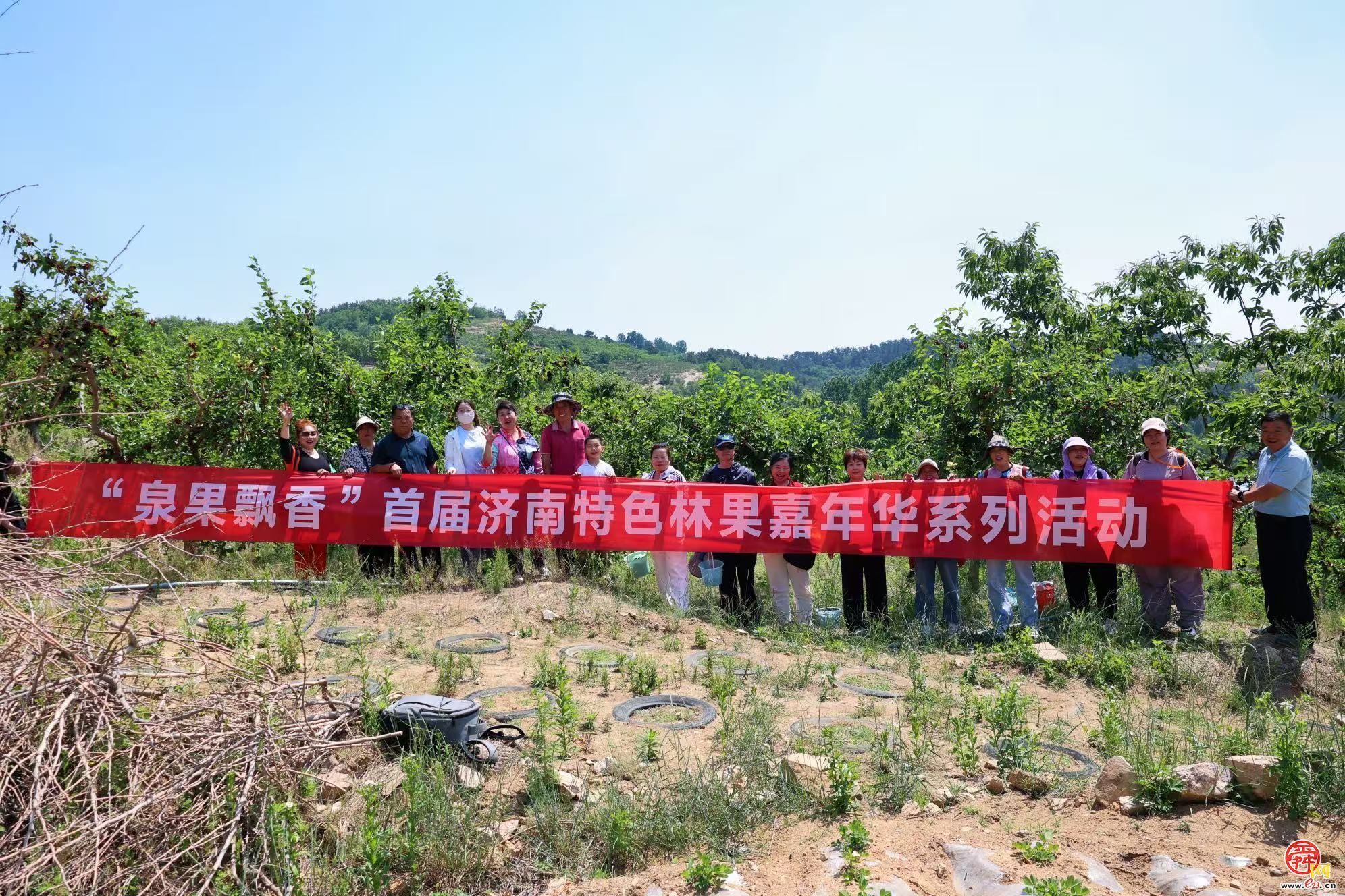 樱桃退场，甜蜜不散场！ “泉果飘香”迎来“盛夏的果实”