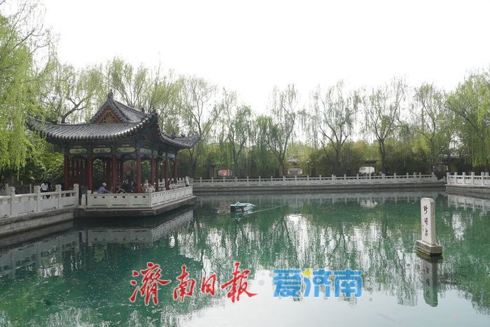 一年四季·泉在济南｜春日珍珠泉焕新颜，泉韵醉人引客来