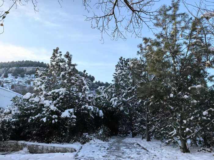 立冬以来山东最大规模雨雪天气基本结束，陆续开启“大回暖”