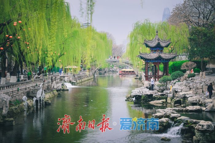 一年四季 泉在济南｜丹青绘泉水 雨后景更幽