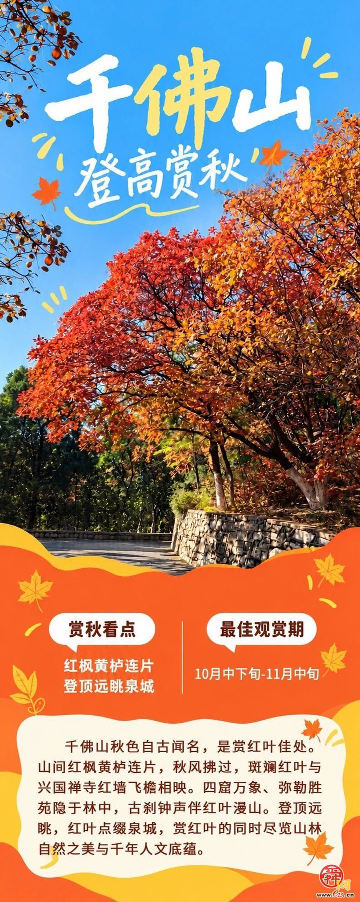 现在出发正当时！泉城红叶迎来最佳观赏期