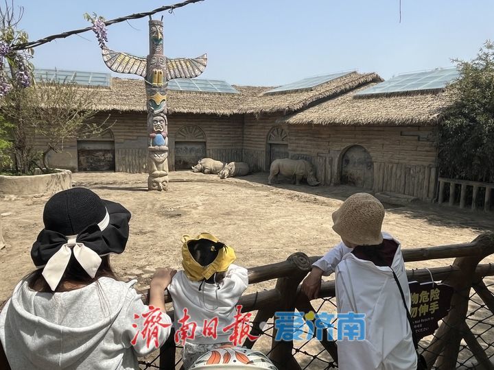 野趣盎然动物园