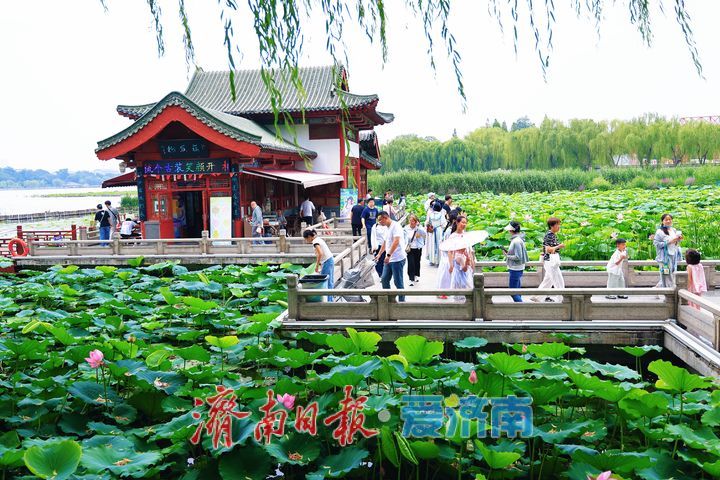 漫步湖畔赏美景 欢度端午享闲暇