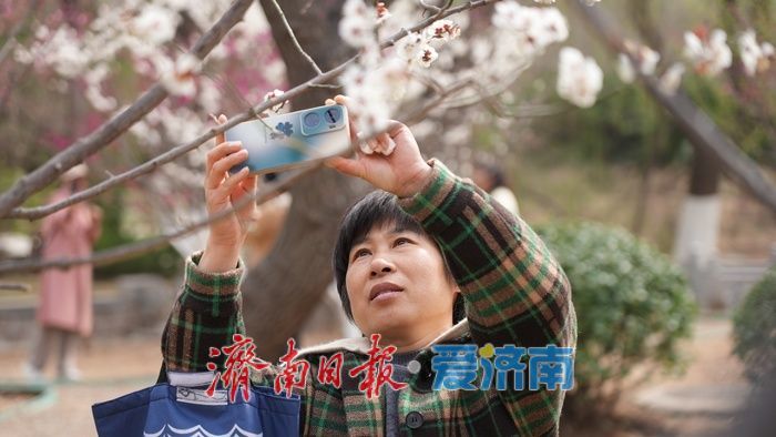 济南泉城公园“梅杏争春”醉游人