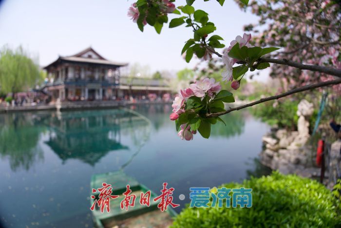 一园春色 满城芳菲丨百花生辰赴春约 传承千年的 “花朝节”
