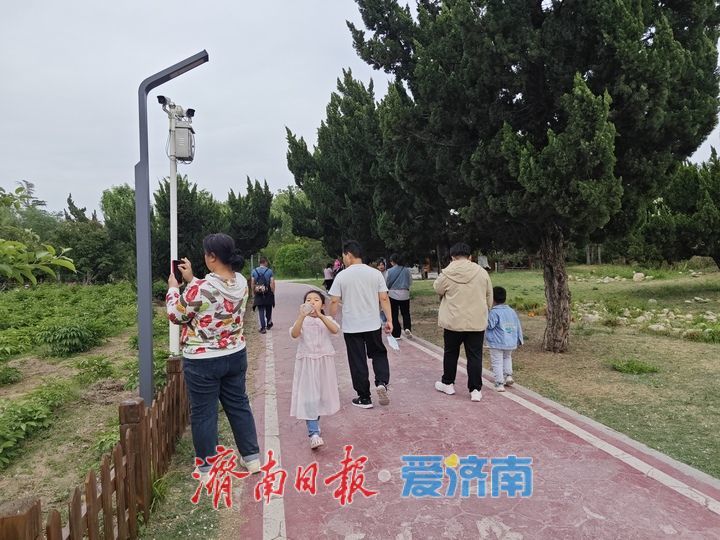 一年四季 泉在济南丨春日黄河岸繁花盛放 百里黄河风景区迎来游玩热潮