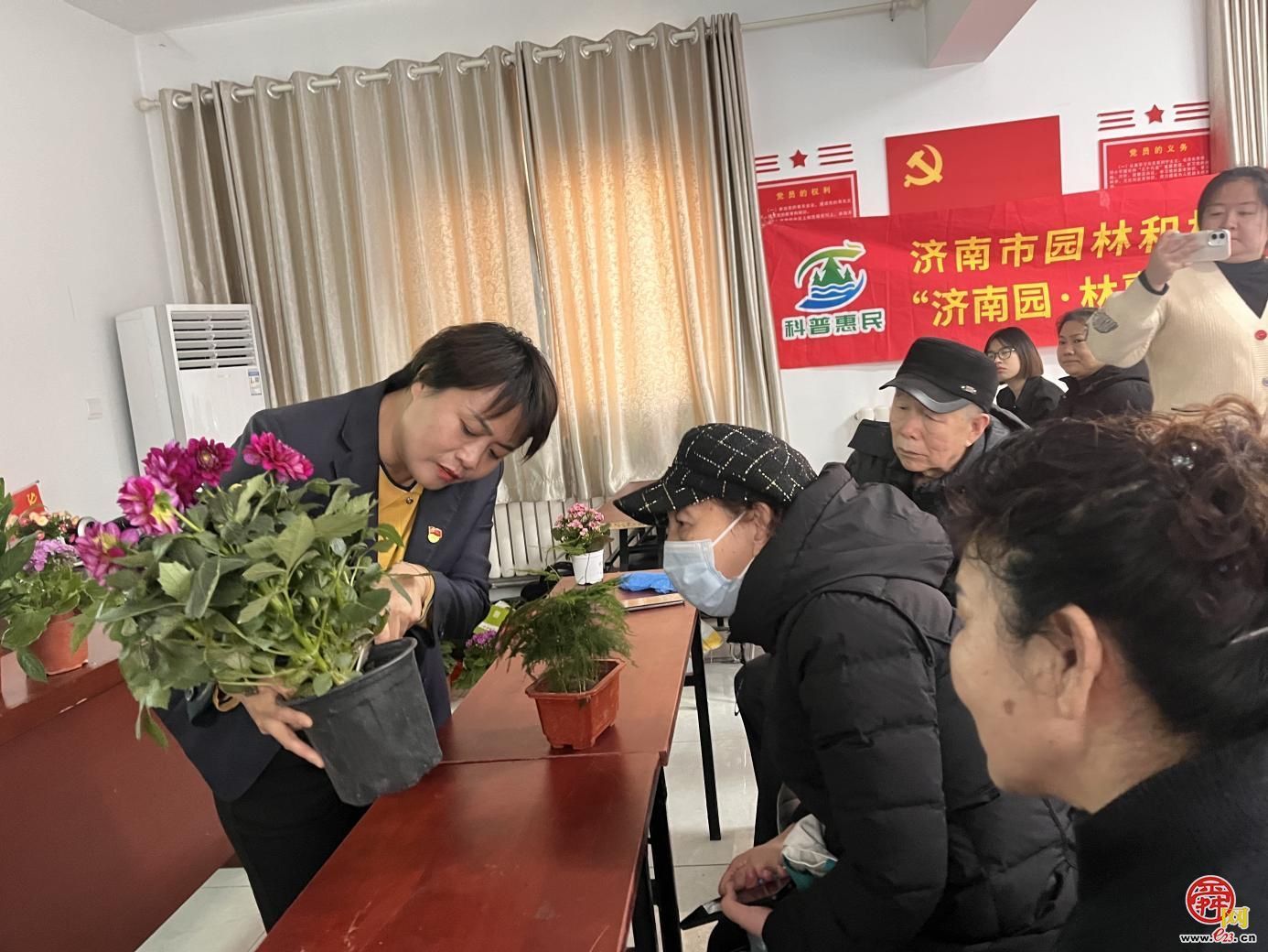 济南园·林惠民行：“年将到 花枝俏”年宵花卉种植养护科普活动走进洪家楼社区