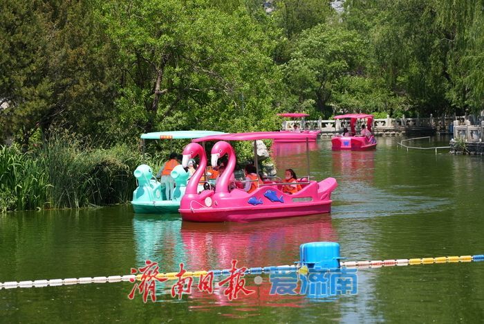 初夏泛舟，市民乐享“水上时光”