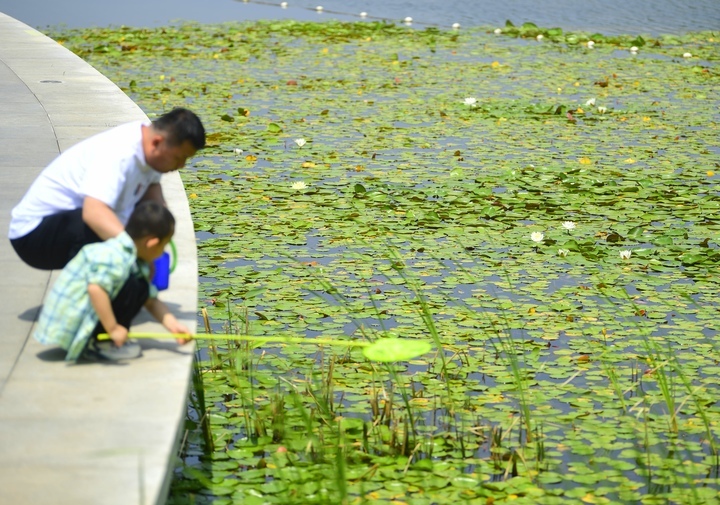 夏日休闲好去处，打卡最美华山湖