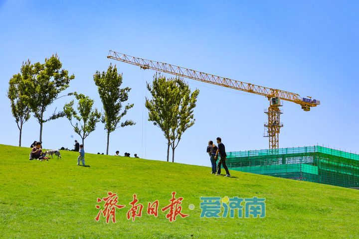 晴空映绿意 周末趣时光