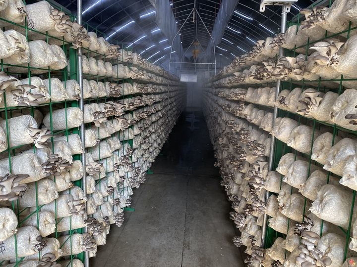 “云话山东”走进青岛 