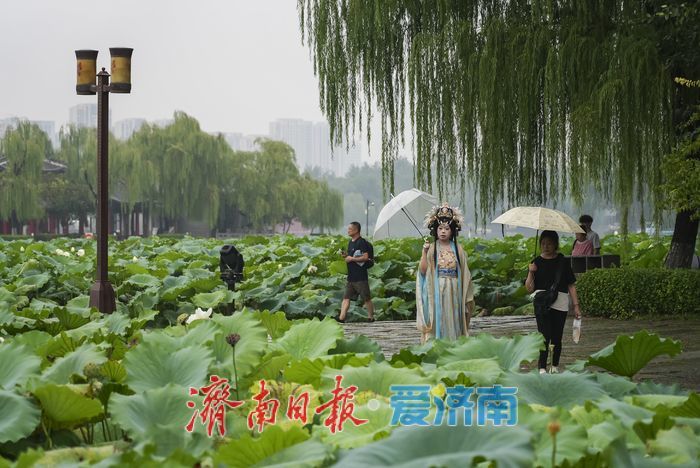 烟雨济南，胜似江南
