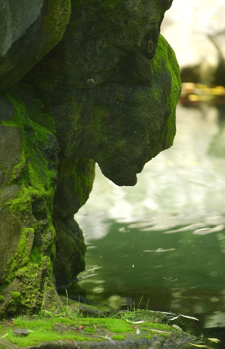 地下水位逼近29米，济南月牙泉出现复涌迹象