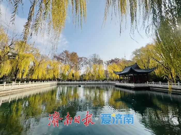 一年四季 泉在济南｜蓝天白云映清泉 济南珍珠泉冬日景致引客来