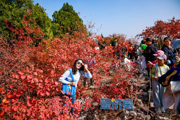一年四季 泉在济南丨济南蝎子山秋色“美出圈”！半山红妆半山青翠，独特“鸳鸯火锅”景观引客来