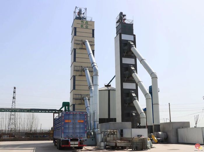 三夏生产美如画  金穗飘香迎丰收——白云湖街道“三夏”生产紧锣密鼓