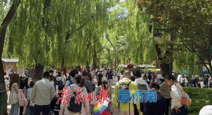 五一假期济南野生动物世界迎客流高峰 游客与动物“亲密接触”欢乐多
