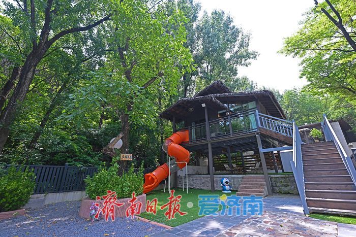 藏翠群山纳清凉！ 红叶谷打造夏日露营新体验