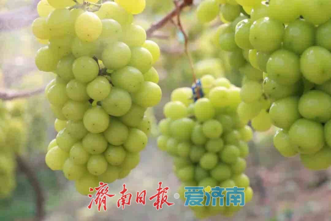 国庆觅趣指南：邂逅泉韵山色，乐享都市烟火