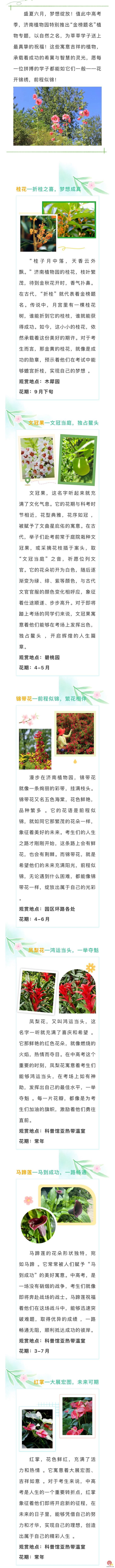 济南植物园“金榜题名”植物特辑——为中高考学子送上自然祝福！
