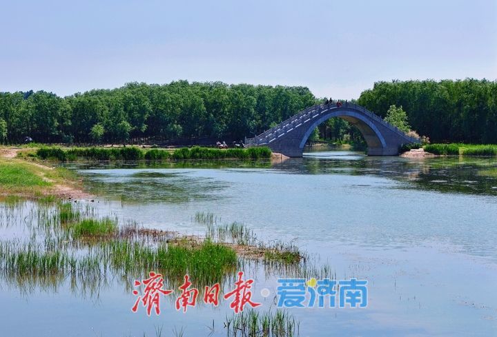 水清岸绿景怡人 睦里闸邂逅初夏生态美景