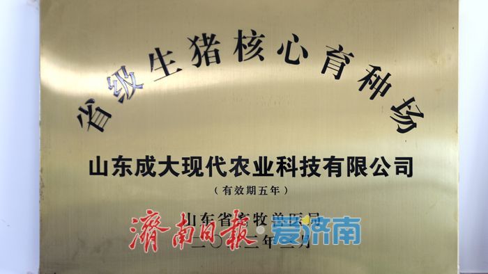 我们村的新农人 