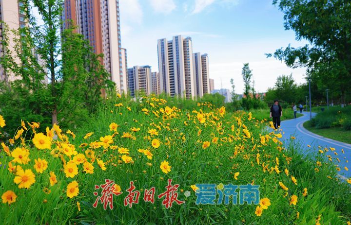 一年四季 泉在济南丨初夏风光无限好 乐享周末好时光