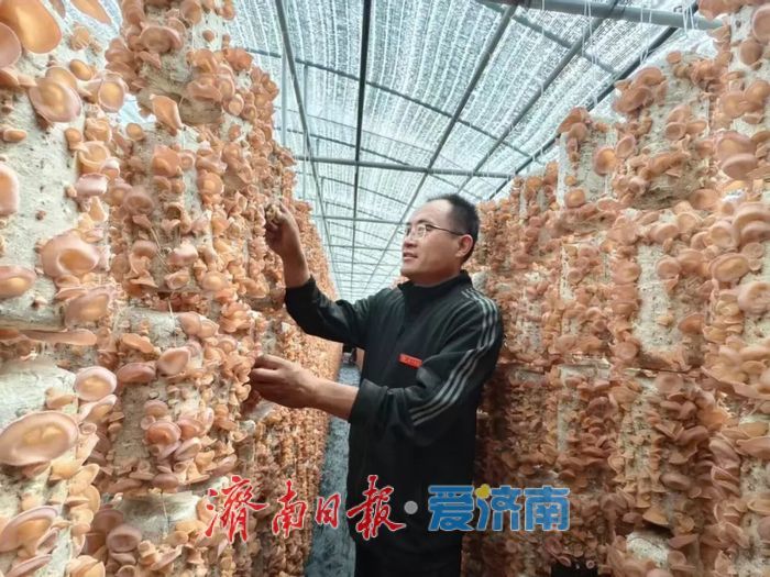 从“下乡”到“扎根”！济南驻村第一书记在“万人下乡、千村提升”工程中写下温情答卷