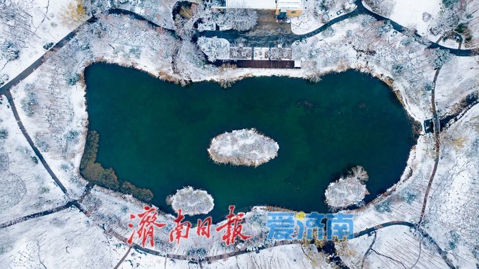 雪落泉城！济南森林公园银装素裹美景如画