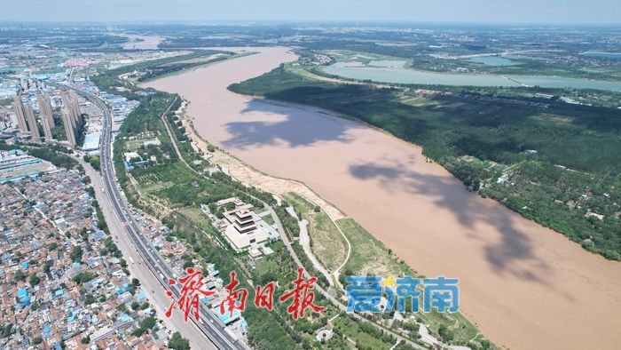 黄河济南段迎来近期最大流量