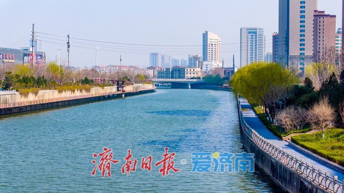 济南小清河：春染岸线 生机满河