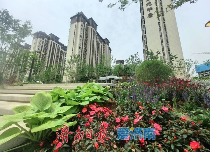 绿色生态 开放共享 济南再添一处街头公园