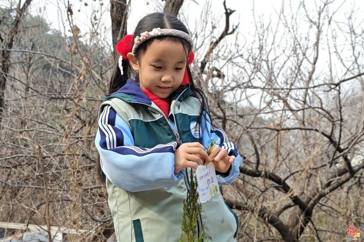 “‘植’一抹新绿  寄一份希望”里辛中心幼儿园走近棋山植树节实践活动