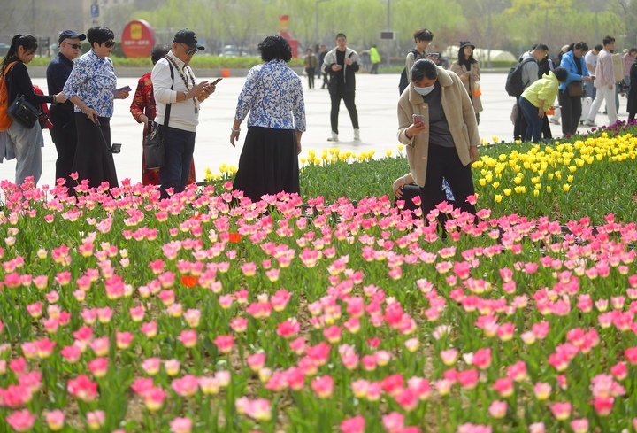 “泉”在济南过五一