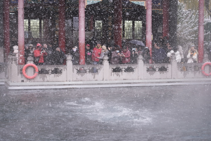 一年四季 泉在济南丨趵突泉“云雾润蒸”引客来