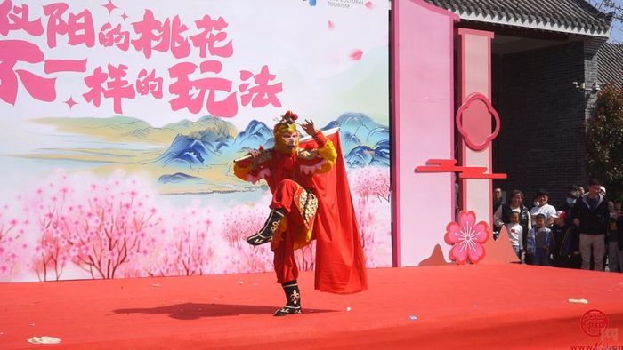 肥城市第二十三届桃花节·仪阳桃花游暨“桃之夭夭”仪阳春日花朝节启幕