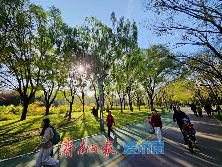 一年四季 泉在济南丨秋色惹人醉 公园秋日美景处处出大片