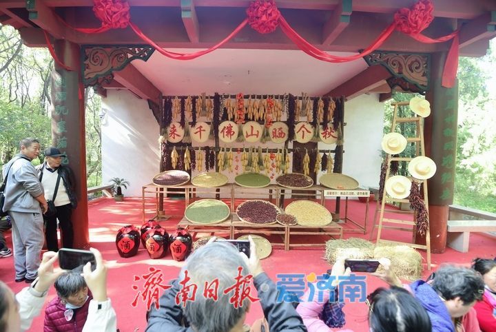 重阳登高正当时！千佛山人潮涌动，山会市集好热闹