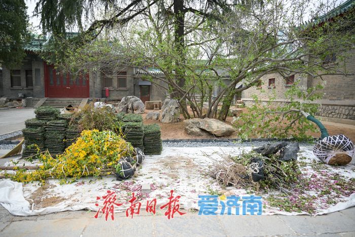 山东古建筑博物馆庭院“微更新”，历史与观赏双提升