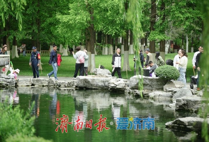 一年四季 泉在济南丨初夏凉爽天，寻幽龙潭畔