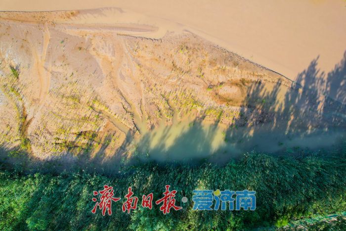 沉砂池化身“滨水湿地” 滩涂纹理如大地版画