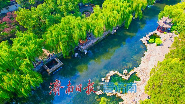 济南护城河水位显著上涨，迎来一年最佳观赏期