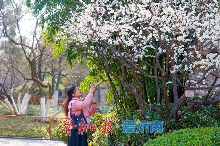 五龙潭公园春意盎然，市民游客共赏春光