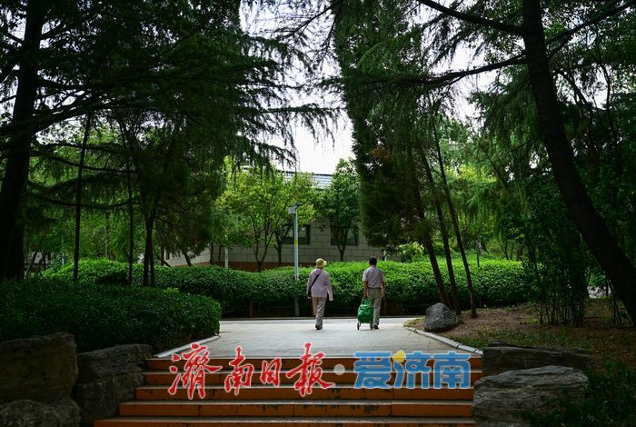 一年四季 泉在济南丨游泉城公园，静享城市“慢生活”