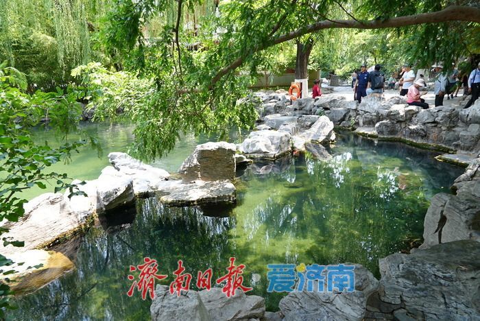 一年四季 泉在济南丨“泉如其名”，畅享无忧泉畔惬意时光