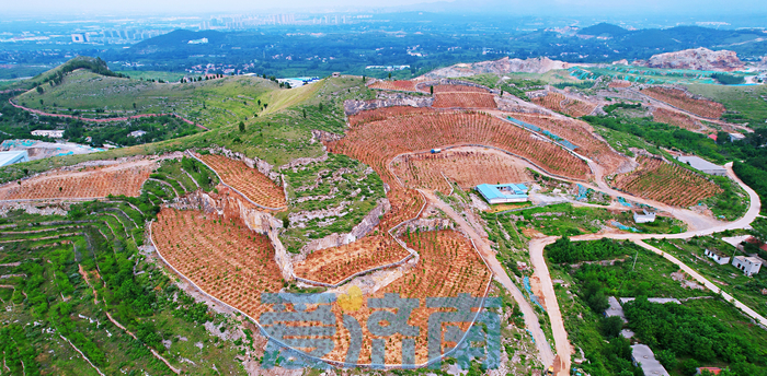 济南矿山生态修复工作有序推进，图斑修复数量和面积双过半