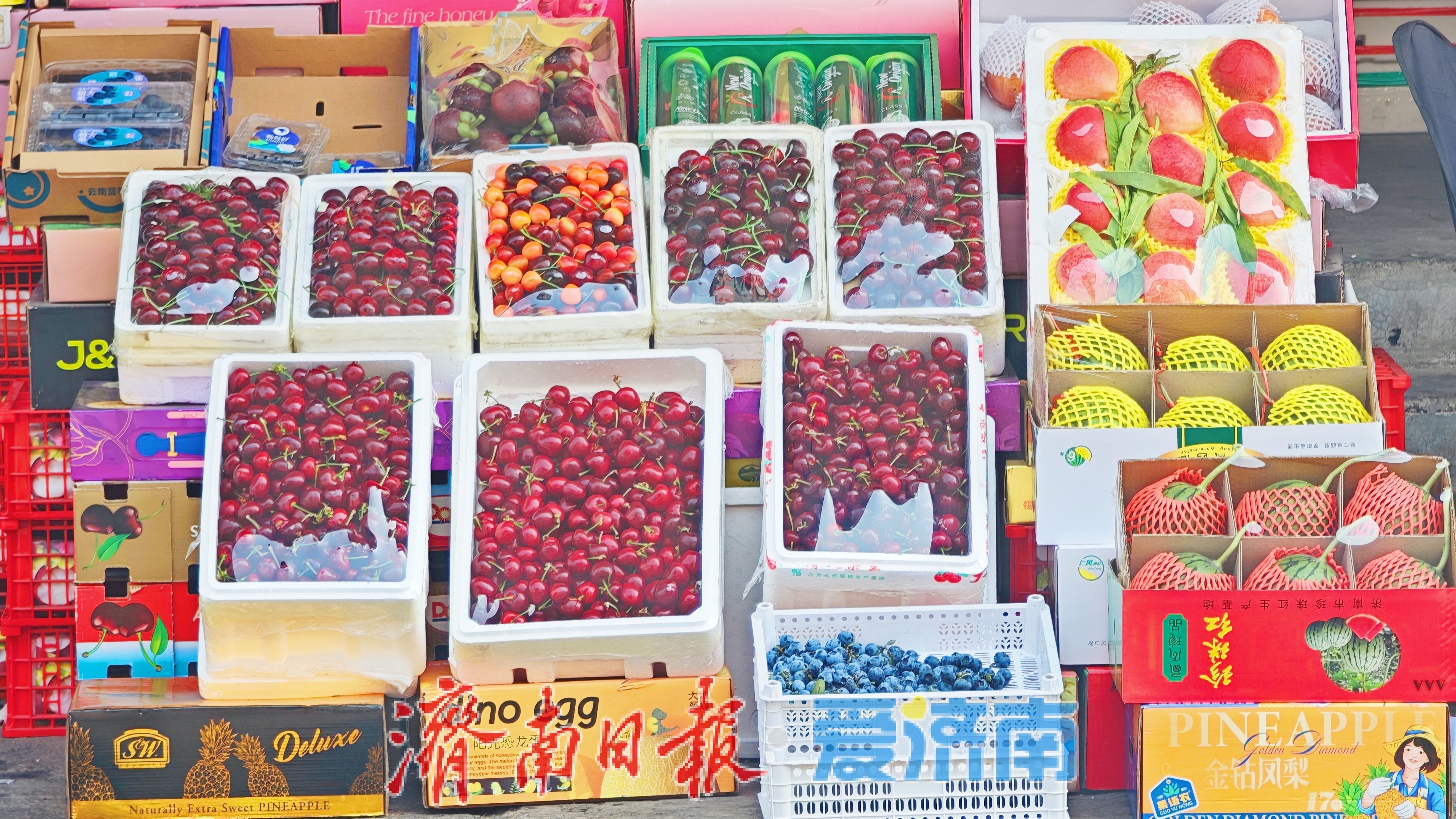 烟台美早樱桃批量上市，济南堤口果品批发市场春果供应进入旺季