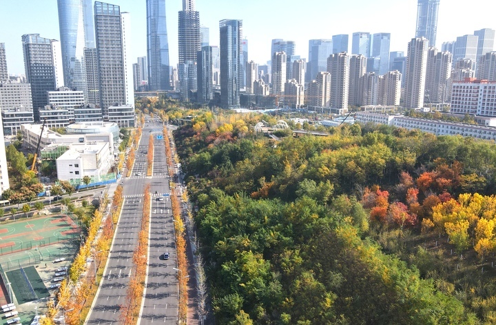 褪去“金甲”披“红装”，济南CBD迎来最美“叶”色