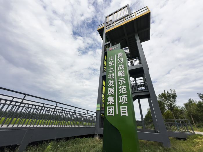 又到苌家庄村稻田画观光时间