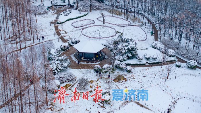 雪落泉城！济南森林公园银装素裹美景如画